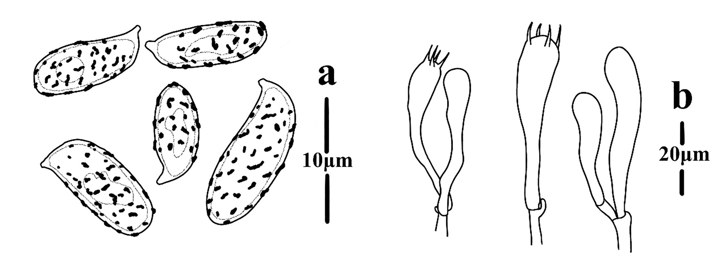 Figure 49